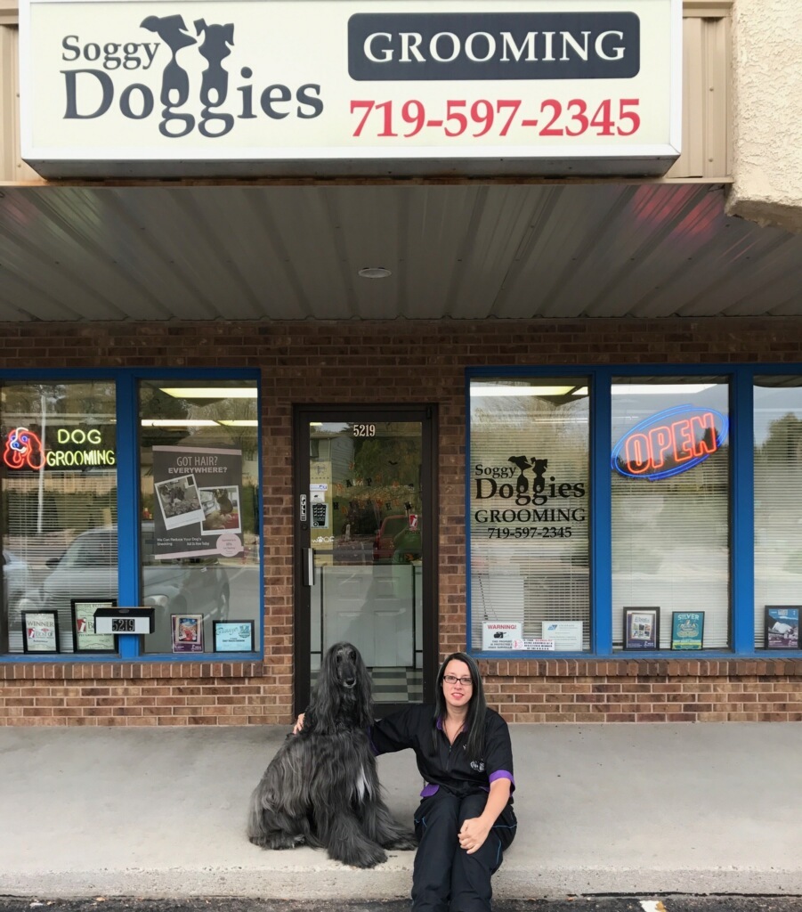 Soggy Doggies Grooming