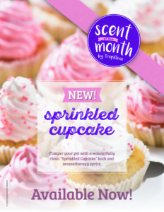 Sprinkled Cupcake Spa Scent of the Month