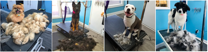 FURminator DeShedding Treatment