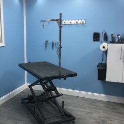 A peek inside Soggy Doggies Grooming