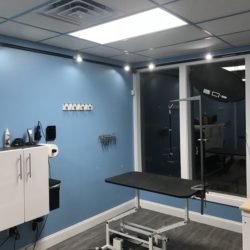 A peek inside Soggy Doggies Grooming