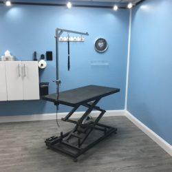 A peek inside Soggy Doggies Grooming