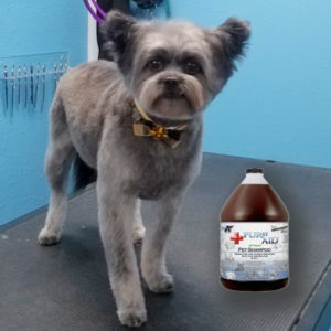 Marvelous Medicated Dog Shampoo Soggy Doggies Grooming Colorado Springs