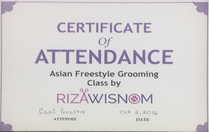 Asian Freestyle Grooming Seminar, 2016