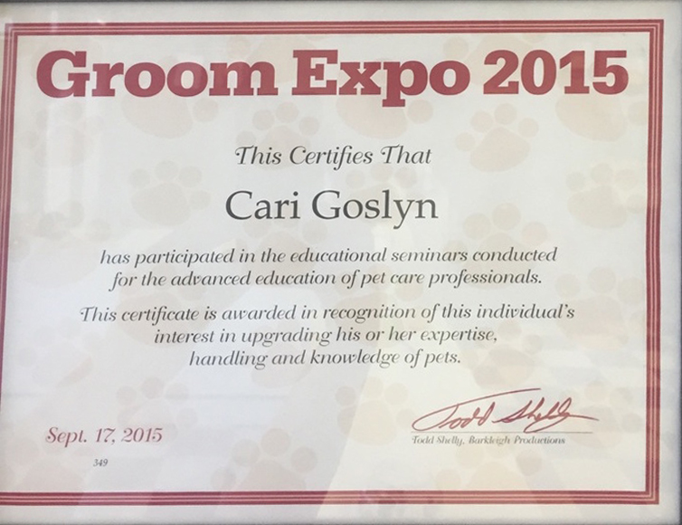 Groom Expo, 2015