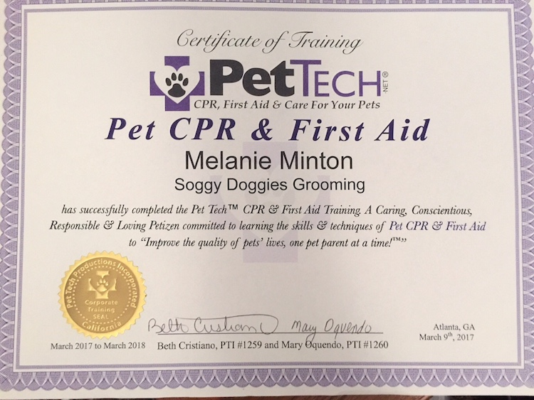 PetTECH CPR, 2017