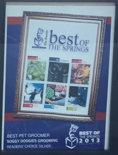 The Gazette Best of Business, 2013